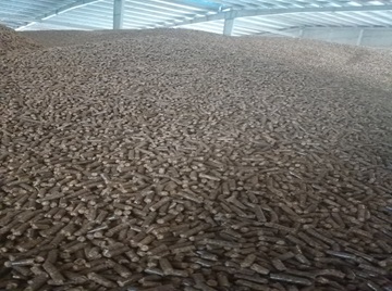 Viên nén gỗ/ Wood Pellet