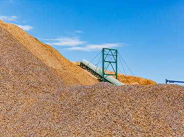 Dăm gỗ/ Wood chips