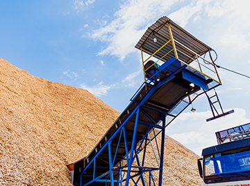 Dăm gỗ/ Wood chips