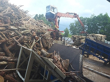 Viên nén gỗ/ Wood Pellet